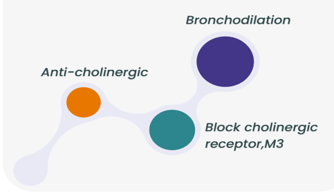 Acebrophylline: Effectiveness in Nasal Congestion and Its Mechanism of Action