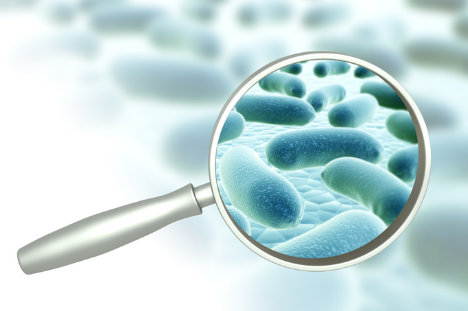 Good versus Bad Bacteria