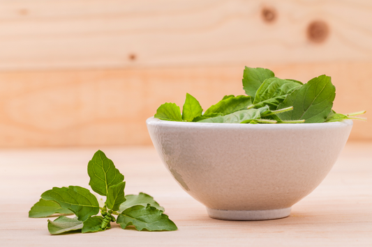 Tulsi – Ocimum sanctum. The Mother of All Herbs