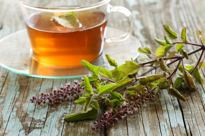 The Health Benefits of Tulsi in Management of Respiratory Conditions