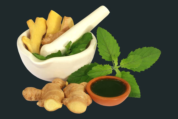 Ayurvedic Herbs for Asthma: Nature's Remedy for Respiratory Health