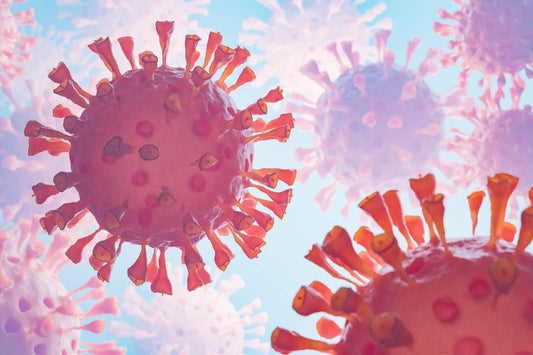 Pneumonia vs. COVID 19