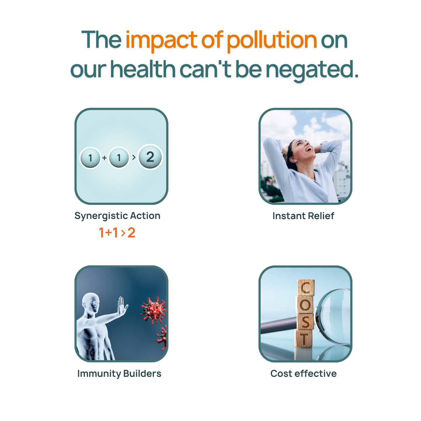 Bibo Pollution Detox Kit | Rejuvenating | 3 Natural Products