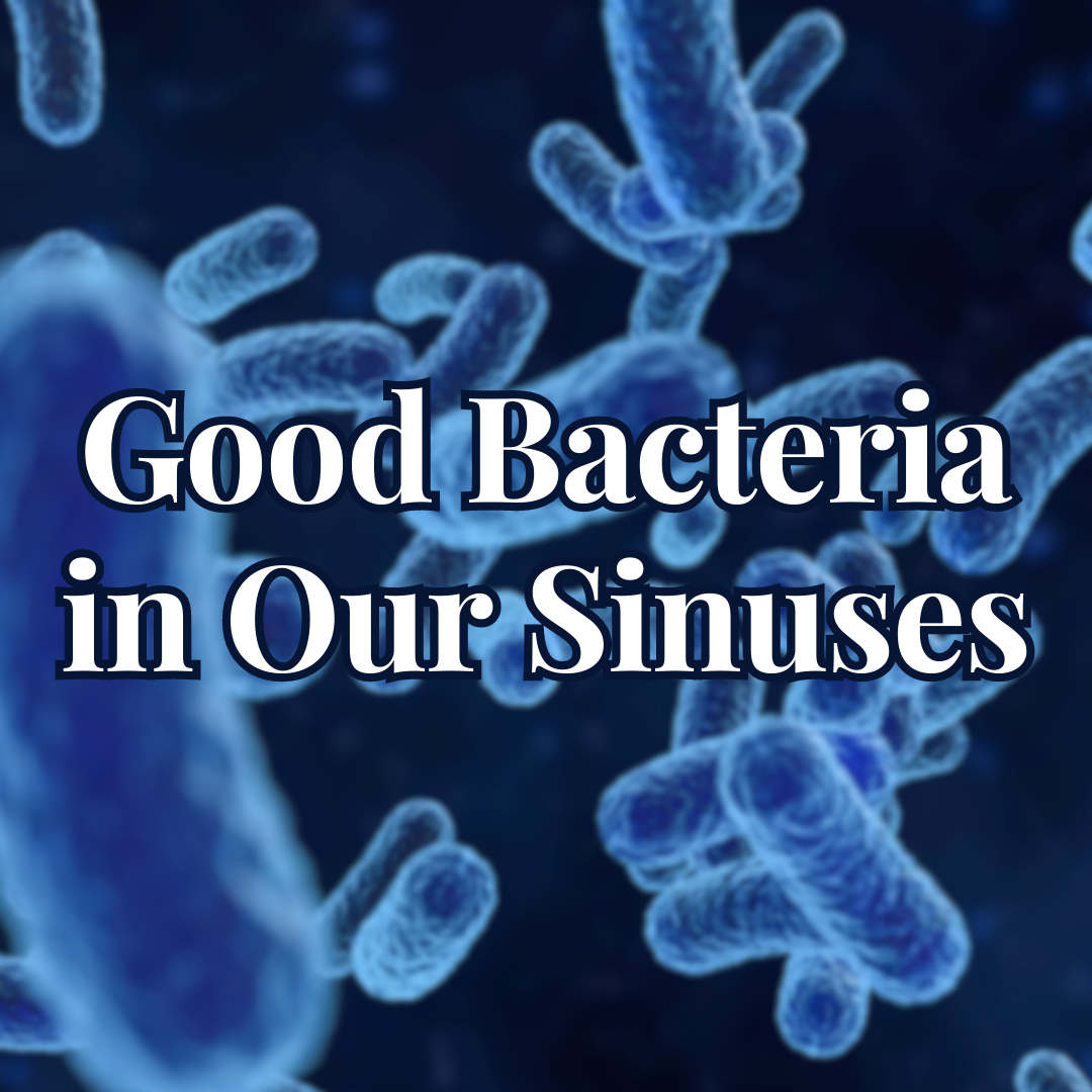 Good bacteria in our sinuses – Bibo