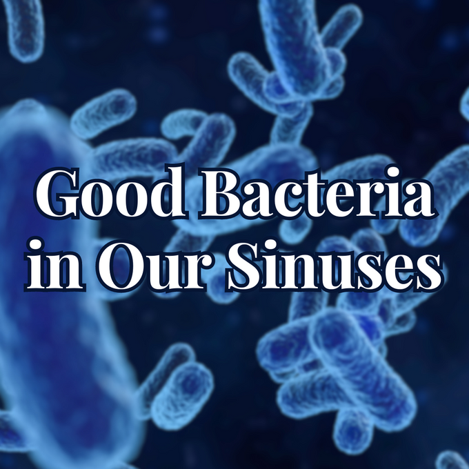 Good bacteria in our sinuses