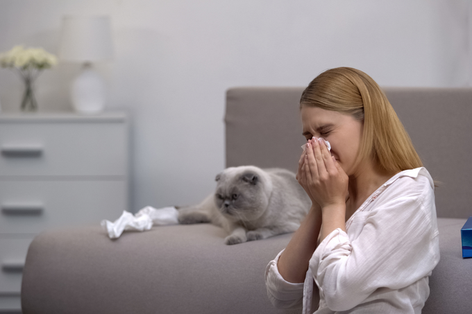 A Vaccine for Cat Allergy- No Human Shots Required