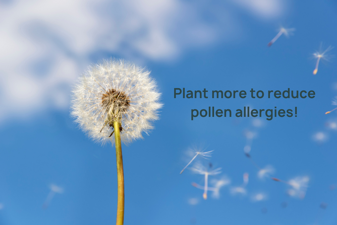 Plant more to reduce pollen allergies!