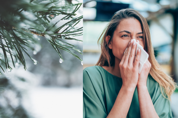 Winter allergies to surge in Hyderabad this year