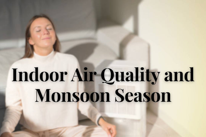 Indoor Air Quality and Monsoon Season: Keeping Your Home Healthy for Better Breathing