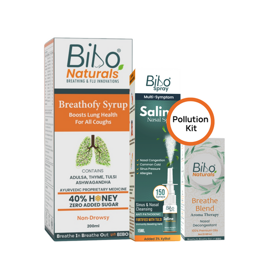 Bibo Pollution Detox Kit | Rejuvenating | 3 Natural Products